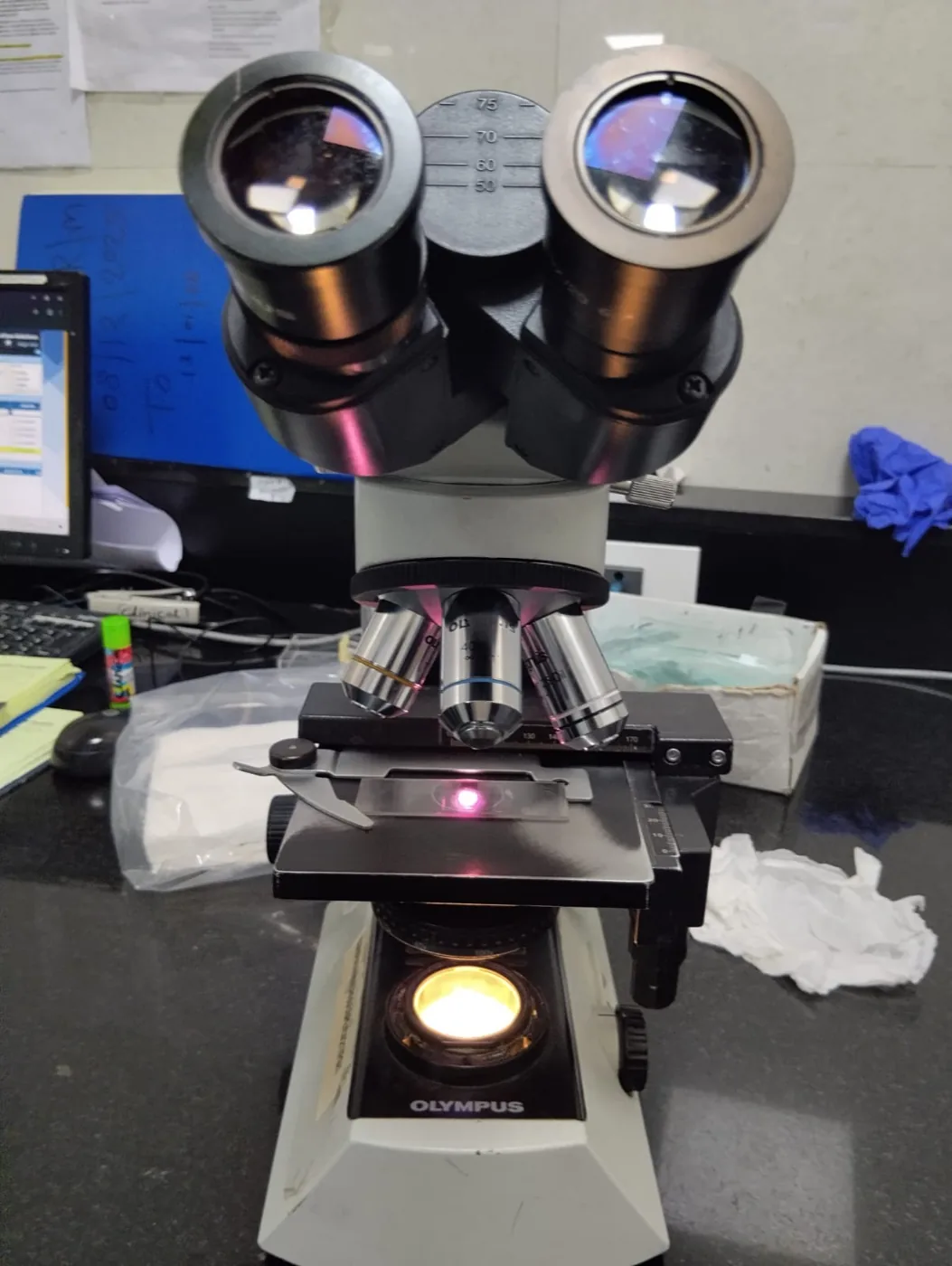 BitOptix microscope service and laboratory work image 10